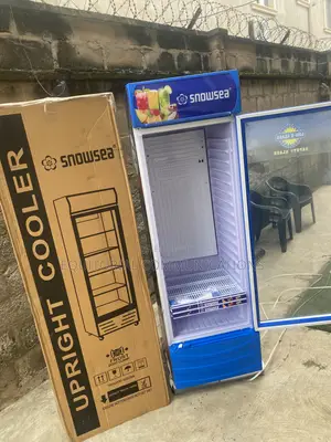 SnowSea LC-500W Retail Glass Door Cooler