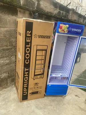SnowSea LC-500W Upright Retail Display Chiller