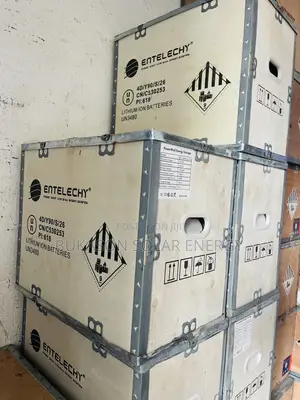 5kwh 24v Entelechy Lithium Ion Battery