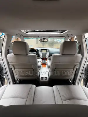 Lexus RX 2009 Silver