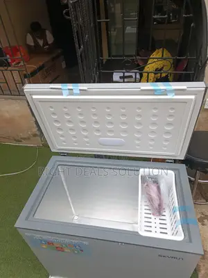 Your Frozen Food Storage Just Got Easier – With Skyrun BD 200A Freezer