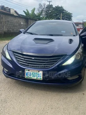 Hyundai Sonata 2011 Blue