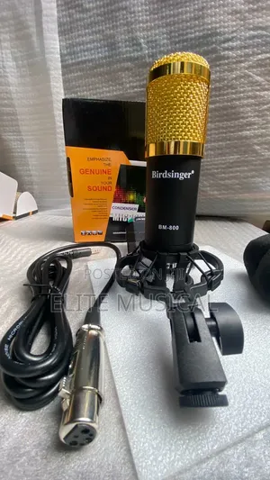 Professional Birdsinger BM-800 Condenser Mic