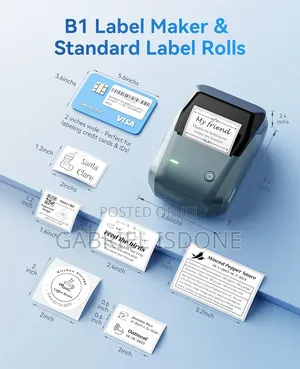 NIIMBOT B1 Label Printer, a Portable, Inkless
