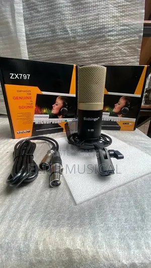 Professional Birdsinger B-99 Condenser Microphone