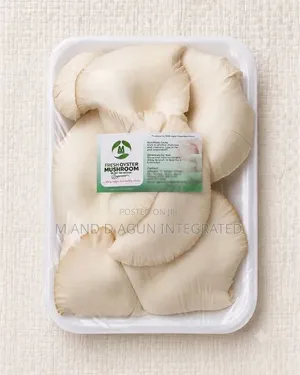Fresh Mushroom
