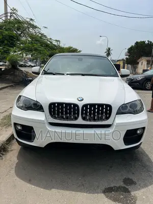 BMW X6 xDrive35i 4x4 Coupe (3.0L 6cyl 8A) 2013 White