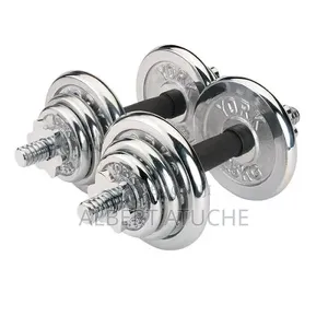 Chrome Dumbbell Set