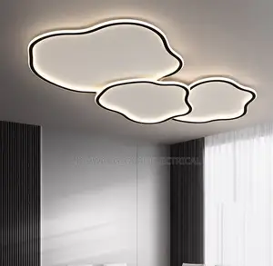 Modern Unic Led Flosh Chandelier