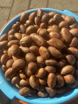 Kolanut, Bitter Kola, Aligator Pepper, Honey & Adun for Sal