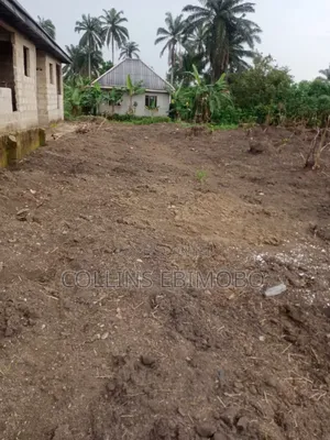 One Plot of Land in Umuasukpo, Igbo Etche