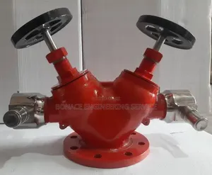 Double Head Landing Valve