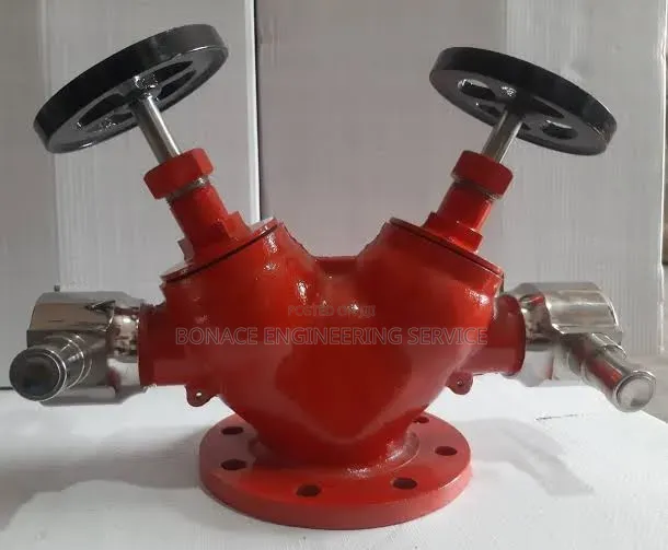 Double Head Landing Valve