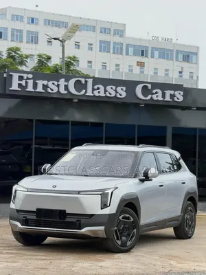 New Dongfeng Nammi 01 2025