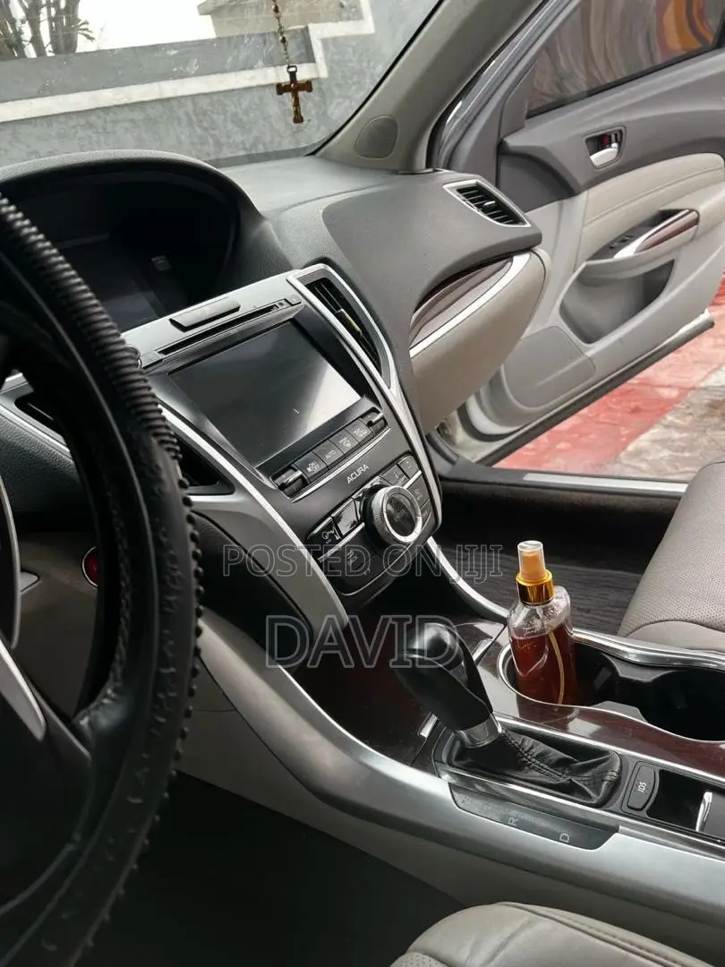 Professional Driver in Lagos