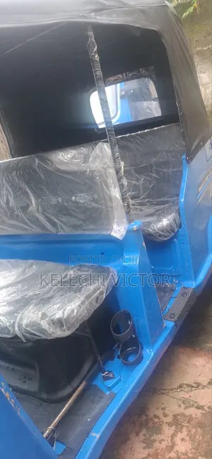 Belgium Keke for Sale