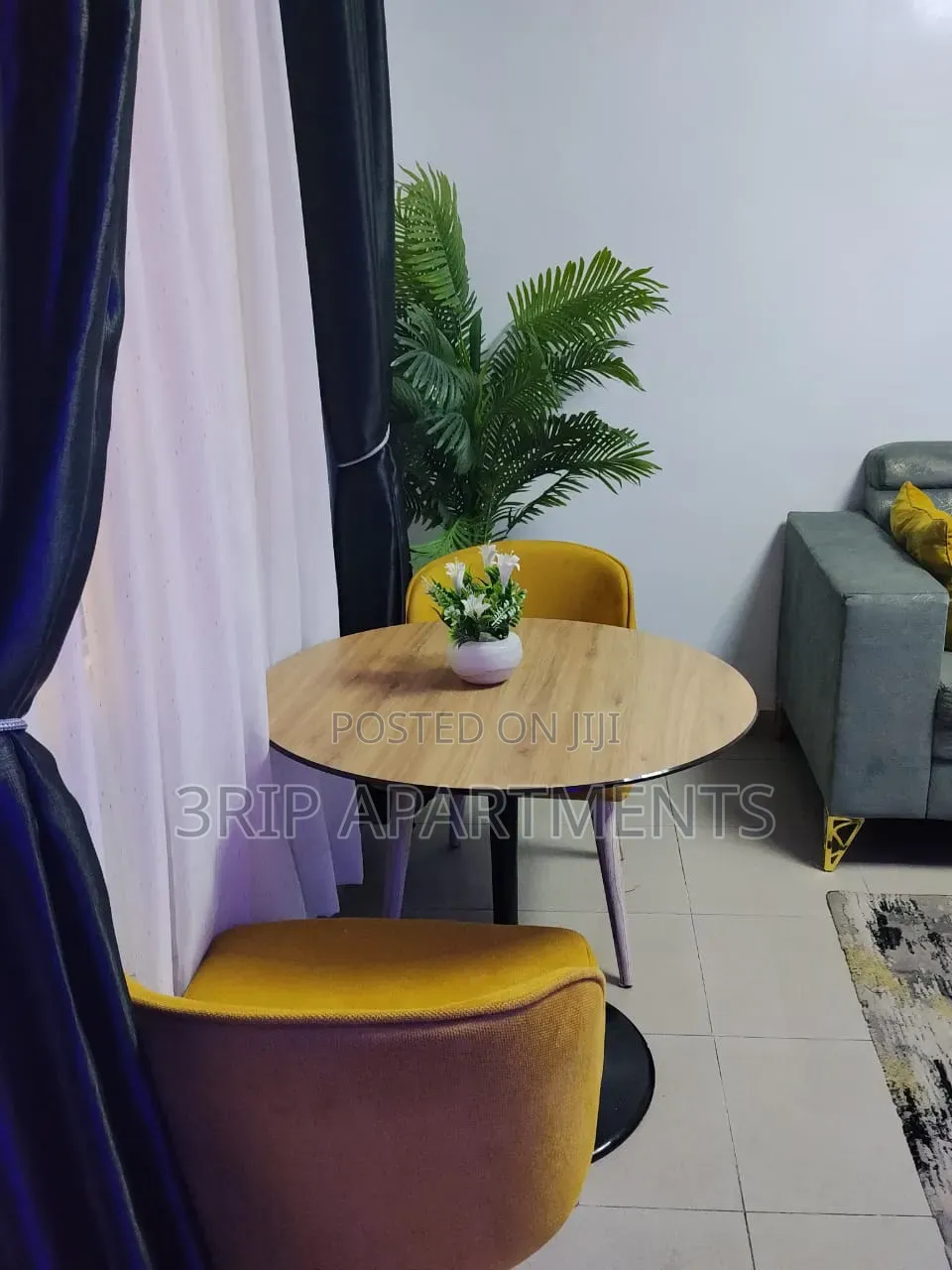 1 Bedroom Apartment