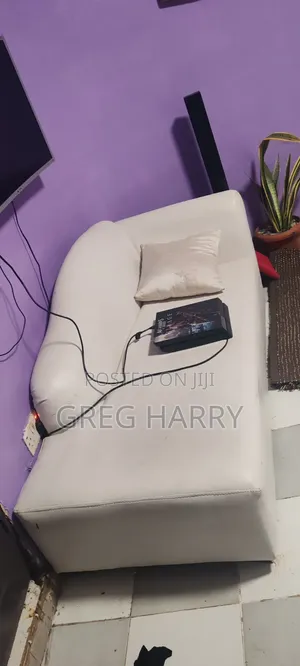 Sectional Leader Sofa