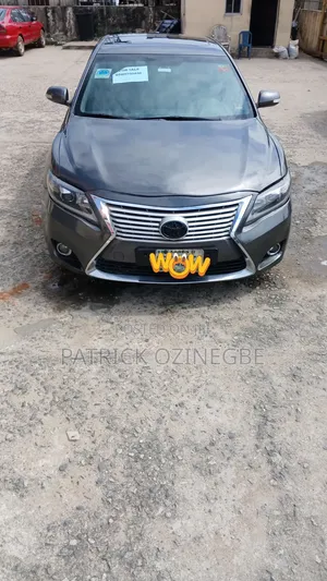 Toyota Camry 2010 Gray