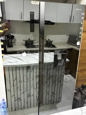 Hisense Double Door Refrigerator