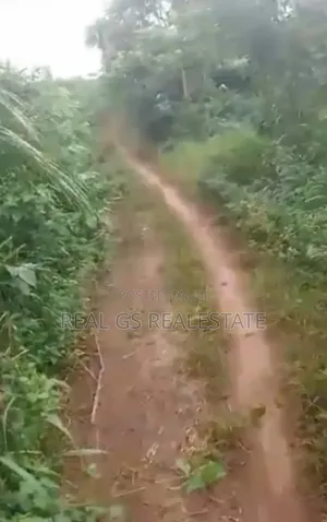 10 Plots of 100 by 100 for Sale at Ogboli Ute Farm Land Issele Uku