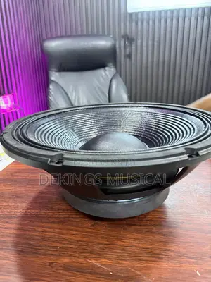 15′′ Naked Speaker 1500W – Powerful Professional Woofer Speaker
