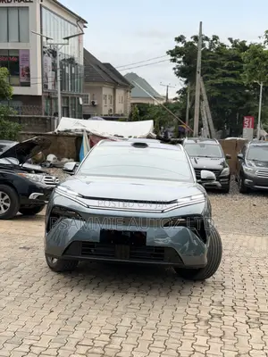 New BYD Tang EV 2025 Gray