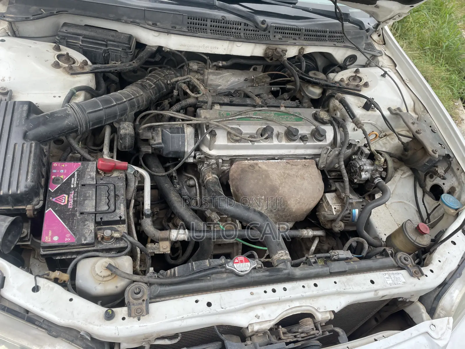 Honda Accord 2001 White