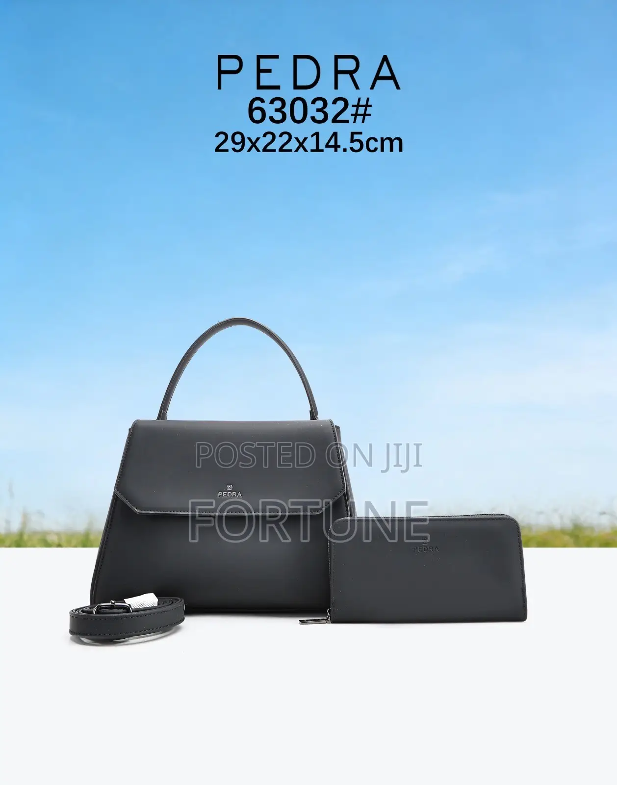 PEDRA Handbag