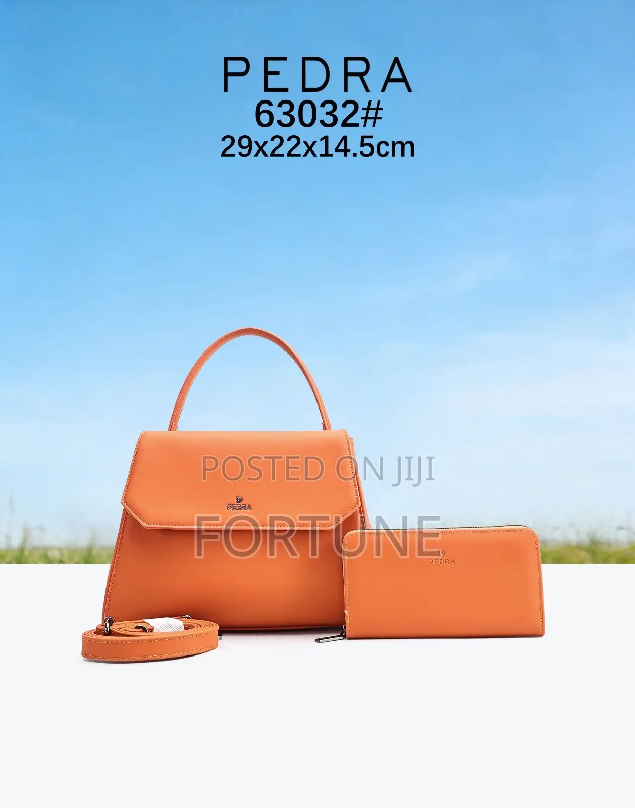 PEDRA Handbag