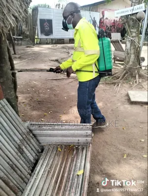 Cleaning With Fumigation