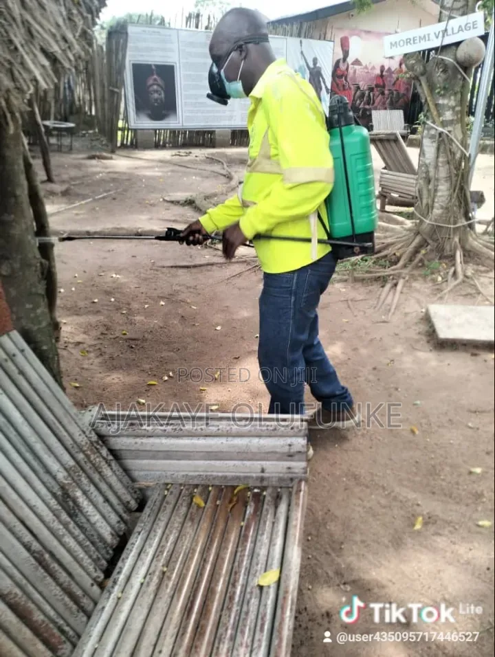 Cleaning With Fumigation