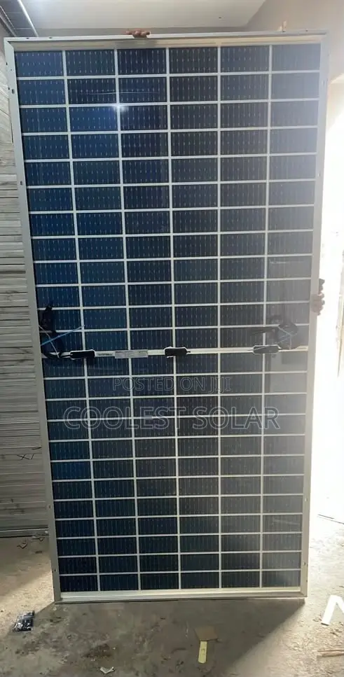 Longi Solar Panel