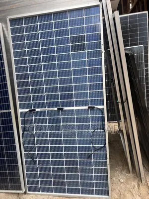 Longi Solar Panel