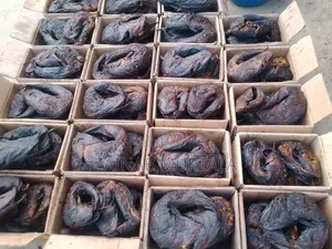 Borno River Breed Smoked Cat Fish