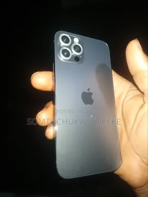 Apple iPhone 12 Pro 256 GB Gray