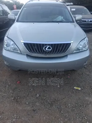 Lexus RX 2008 Gray