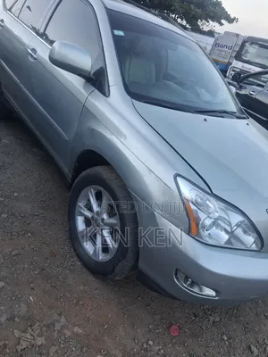 Lexus RX 2008 Gray
