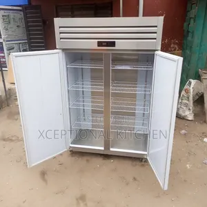 Industrial 2 Doors Freezer