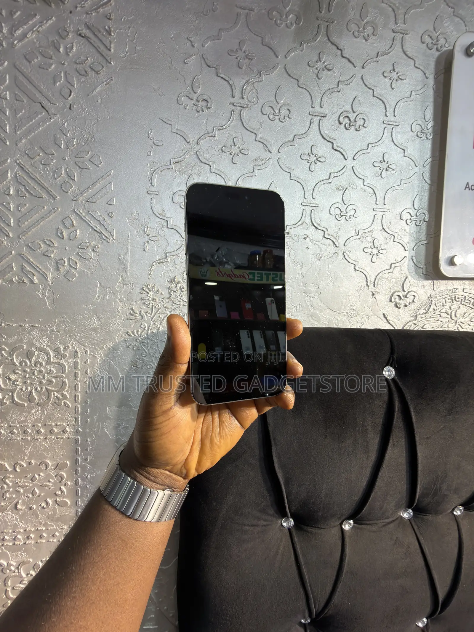 Apple iPhone 15 Pro Max 256 GB Silver