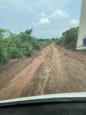 Acres of Farmland for Sale at Onicha  Olona,Delta State