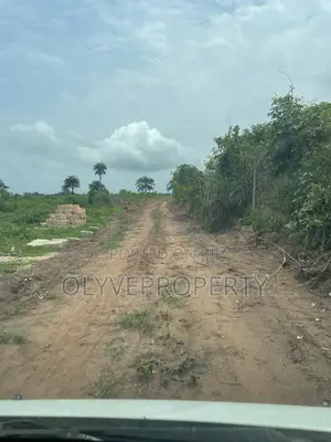 Acres of Farmland for Sale at Onicha  Olona,Delta State