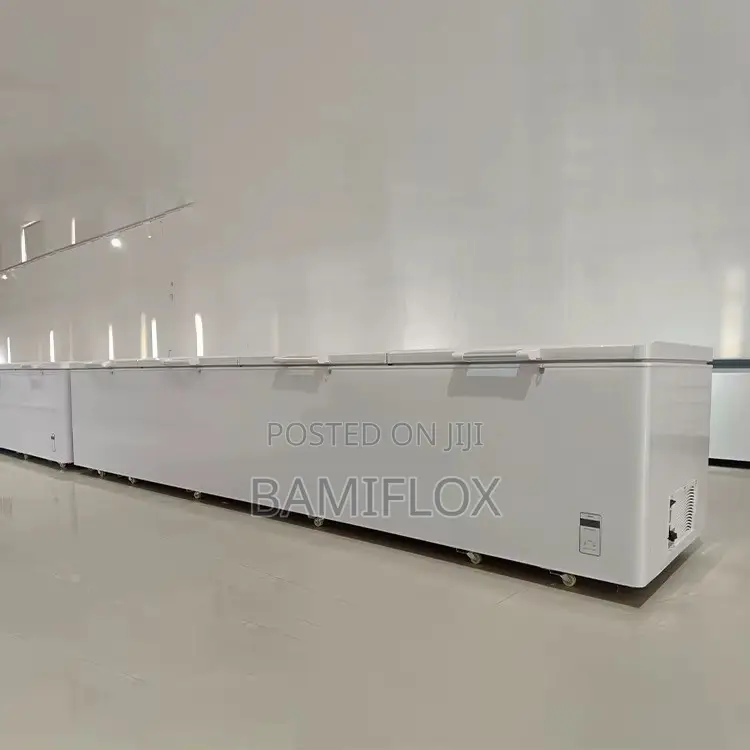 Long Chest Freezer