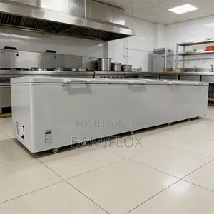 Long Chest Freezer