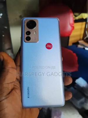 Xiaomi 12 Pro 256 GB Blue