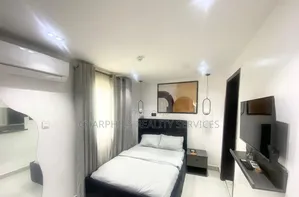 Furnished Studio Apartment in Ikoyi S.W for rent