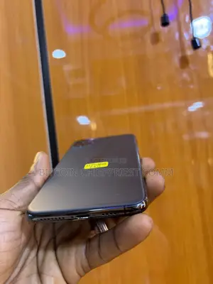 Apple iPhone 11 Pro Max 64 GB Gray