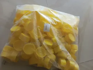 Scaffold Tube End Cap