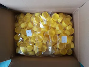 Scaffold Tube End Cap