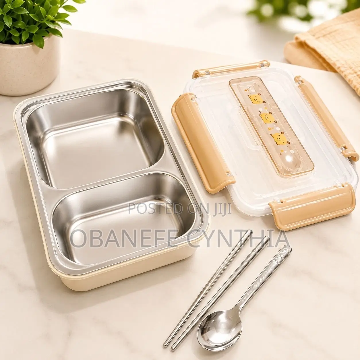 Stainless Steel Lunch Plate